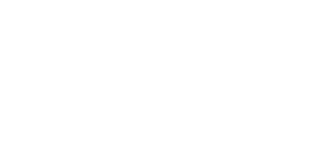 Hvit og svart logo for Stex, energiselskap med fokus på fornybar energi og elektrisitetsløsninger.